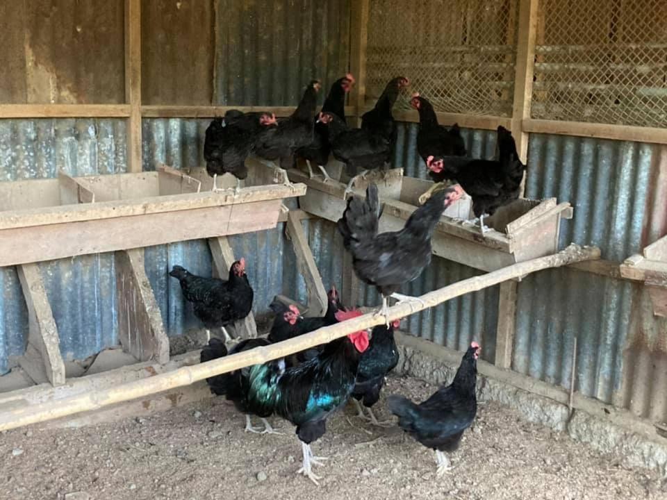 Ataalaya Farmhouse Batangas Eksteriør bilde