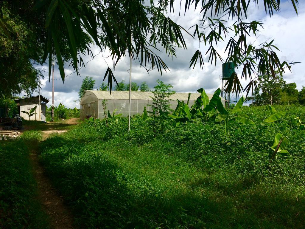 Ataalaya Farmhouse Batangas Eksteriør bilde