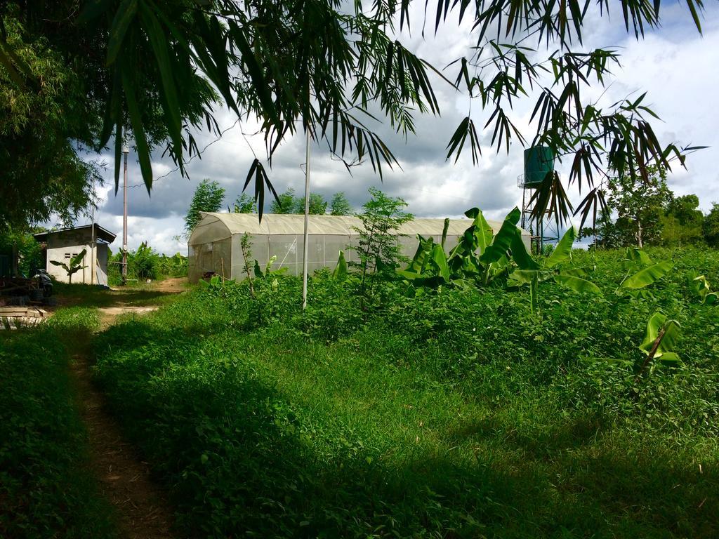 Ataalaya Farmhouse Villa Batangas Eksteriør bilde